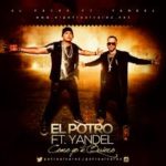 El Potro Alvarez Ft. Yandel - Como Yo Te Quiero MP3