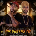 Joeva Ft. Elio Mafiaboy - Me Gustas Tu MP3